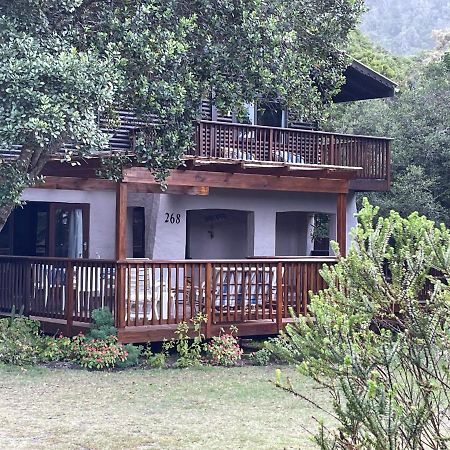 Forest Drive Holiday Home Natureʼs Valley 외부 사진